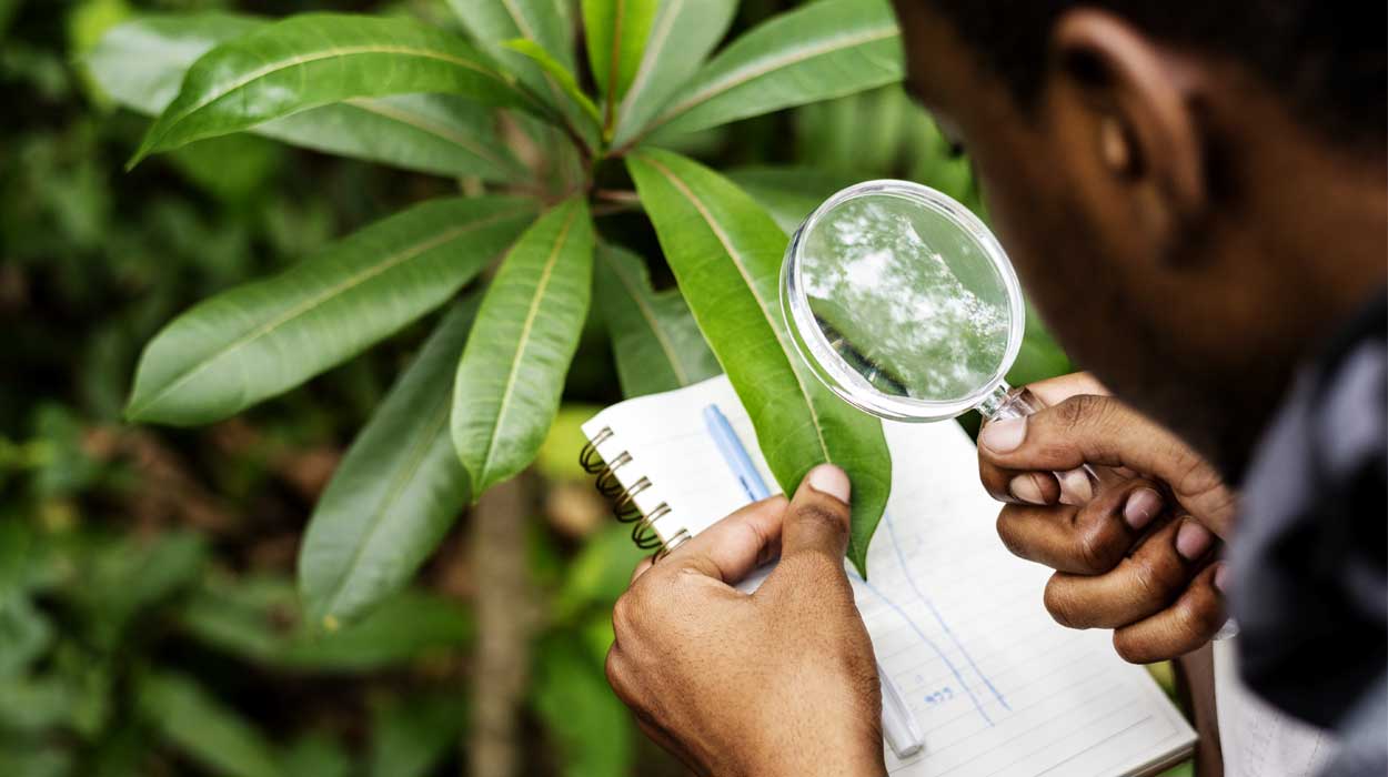 ISO 14001 Lead Auditor (Système de Management Environnemental)