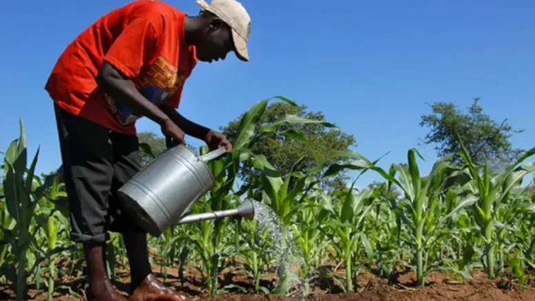 Négociation et Contrats dans le Secteur des Ressources Naturelles (3 Jours)